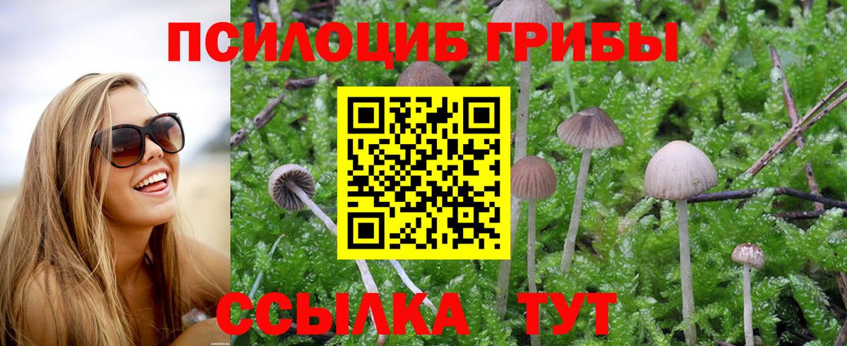 Узловая  Псилоцибиновые грибы Psilocybine cubensis  Вход с VPN  Псилоцибиновые грибы ЛСД 